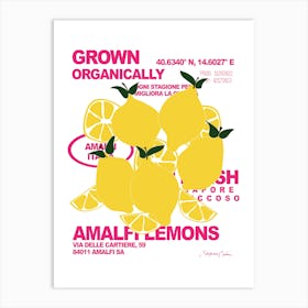 Lemons Art Print