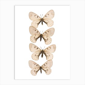 Row Of 4 Butterflies Art Print