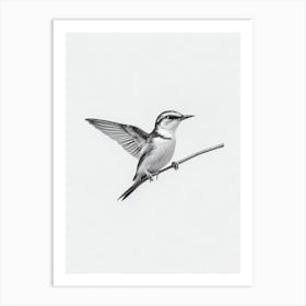 Lark B&W Pencil Drawing 3 Bird Art Print