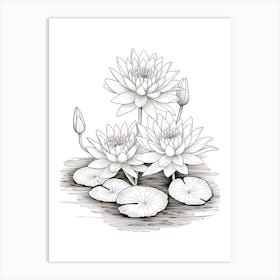 Line Art Inspired By Water Lilies 3 Art Print
