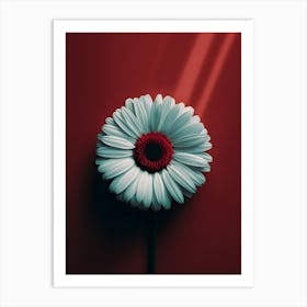 Gerbera Daisy 3 Art Print