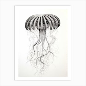 Irukandji Jellyfish Drawing 1 Art Print