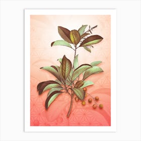 Greek Strawberry Tree Vintage Botanical in Peach Fuzz Asanoha Star Pattern n.0028 Art Print