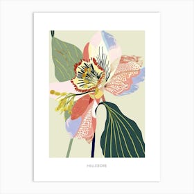 Colourful Flower Illustration Poster Hellebore 4 Art Print