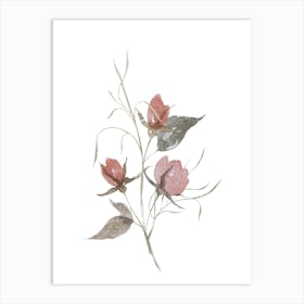 Pink Roses 2 Art Print