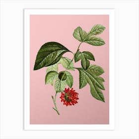 Vintage Paper Mulberry Flower Botanical on Soft Pink n.0108 Art Print