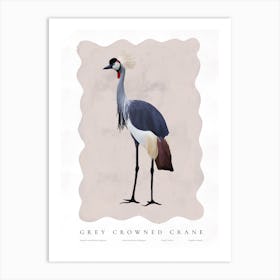 Grey Crowned Crane Art Print