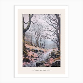 Dreamy Winter National Park Poster  Killarney National Park Ireland 6 Art Print