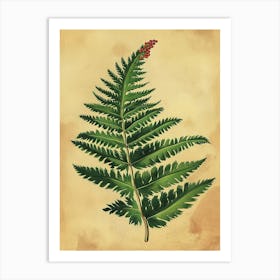 Vintage Illustration Holly Fern 4 Art Print