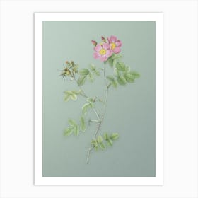 Vintage Pink Sweetbriar Roses Botanical Art on Mint Green n.0017 Art Print