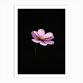 Single Pink Flower On Black Background Art Print