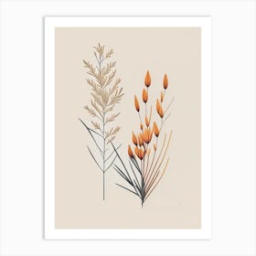 Ephedra Spices And Herbs Retro Minimal 1 Art Print