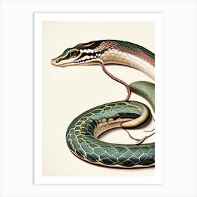 Long Nosed Snake Vintage Art Print