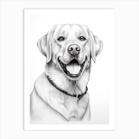 Labrador Retriever Dog, Line Drawing 1 Art Print