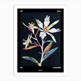 No Rain No Flowers Poster Edelweiss 2 Art Print