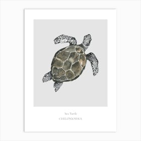 Sea Turtle Chelonia Art Print