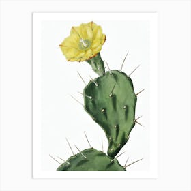 Cactus Flower 18 Art Print