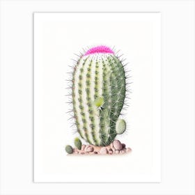 Mammillaria Cactus Marker Art 1 Art Print