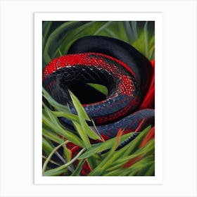 Red Bellied Black Snake Painting Art Print