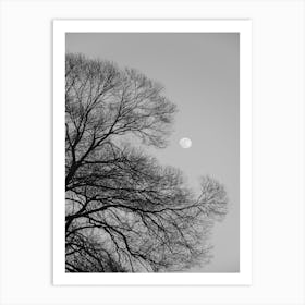 Full Moon Loves Winter Tree Black And White Art Print