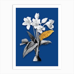 Vintage Crinum Giganteum Black and White Gold Leaf Floral Art on Midnight Blue n.0710 Art Print