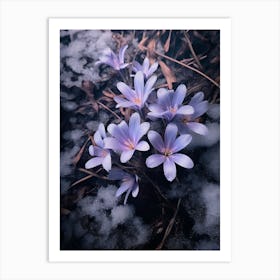 Beautiful Winter Flowers 52 Art Print