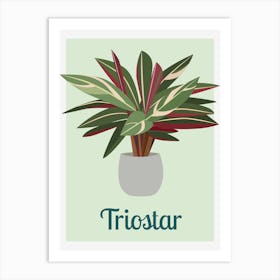 Triostar Houseplant Art Print