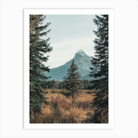 View Of Mountains From A Field Art Print