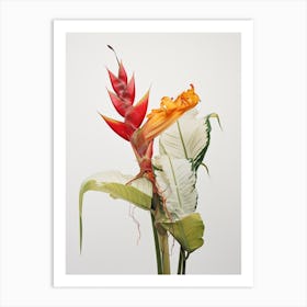 Pressed Flower Botanical Art Heliconia 2 Art Print