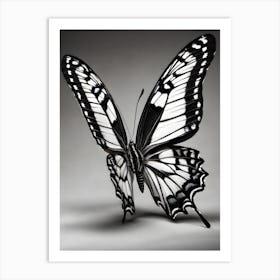 Butterfly 1 Art Print