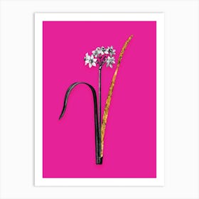 Vintage Cowslip Cupped Daffodil Black and White Gold Leaf Floral Art on Hot Pink n.0064 Art Print