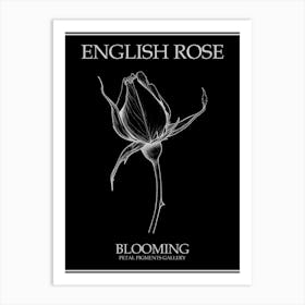 English Rose Blooming Line Drawing 2 Poster Inverted Art Print