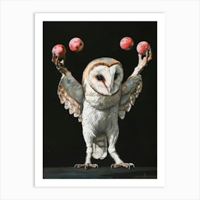 Barn Owl 4 Art Print