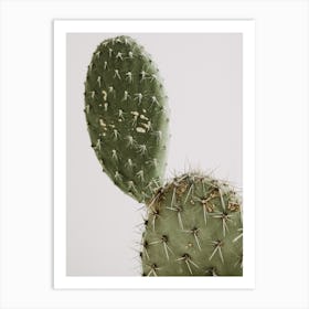 Cactus Pads Art Print