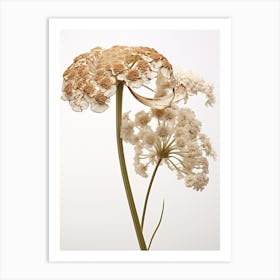 Pressed Wildflower Botanical Art Yarrow Achillea 1 Art Print