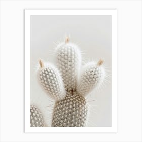 Cactus On White Background Art Print