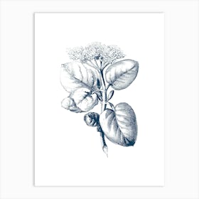 Blue Flower Print 2 Art Print