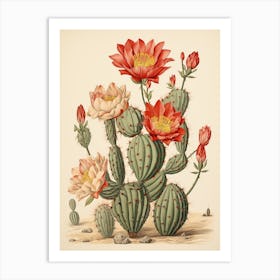 Vintage Cactus Illustration Bunny Ear Cactus 1 Art Print