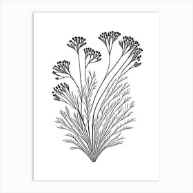 Caraway Herb William Morris Inspired Line Drawing 1 Art Print