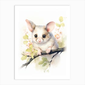 Light Watercolor Painting Of A Leadbeaters Possum 2 Art Print