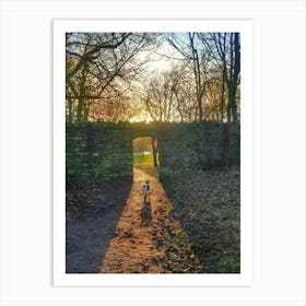 Dog walking through to light Art Print