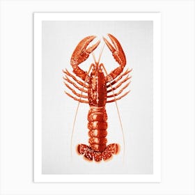 Lobster - Watercolor Art Print