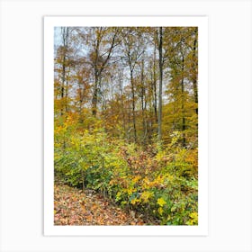 Autumn In The Forest 13 Art Print