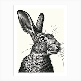 Californian Black Blockprint Rabbit Illustration 3 Art Print