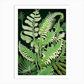 Marsh Fern Wildflower Vintage Botanical 2 Art Print