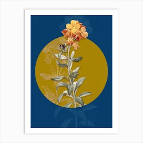 Vintage Botanical Yellow Wallflower Bloom on Circle Yellow on Blue n.0249 Art Print