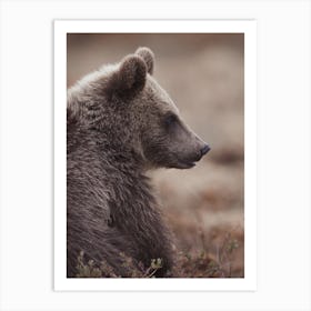 Baby Grizzly Bear Art Print