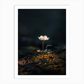 Lily Of The Valley 35 Art Print