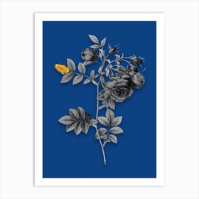 Vintage Turnip Roses Black and White Gold Leaf Floral Art on Midnight Blue n.0843 Art Print