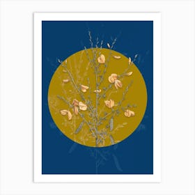 Vintage Botanical Yellow Broom Flowers on Circle Yellow on Blue Art Print